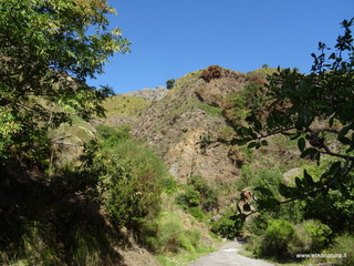 nte Scuderi-05-09-2020 09